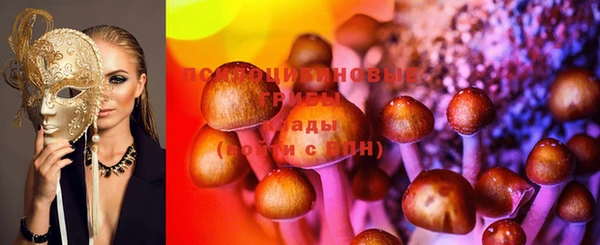 PSILOCYBIN Абаза