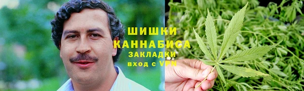 PSILOCYBIN Абаза