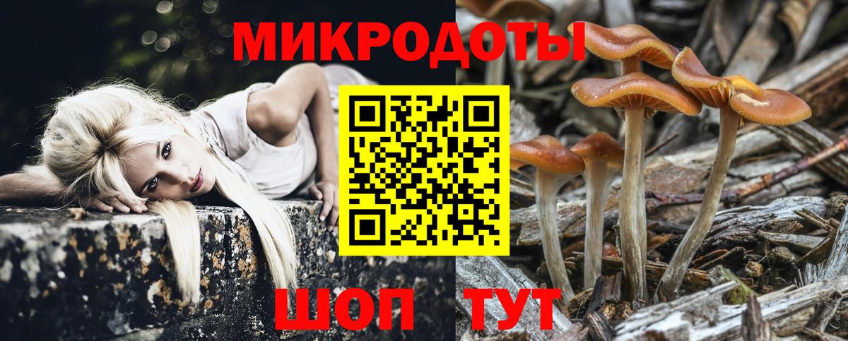Псилоцибиновые грибы Cubensis Дубна